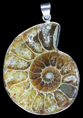 Fossil Ammonite Pendant - Million Years Old #89829